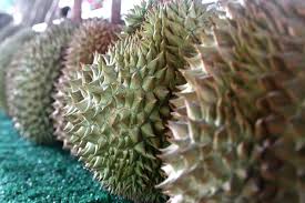 durian gyümölcs ár 2021