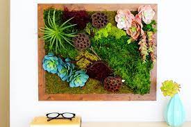 Diy Moss Wall Art Ehow