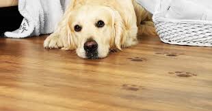 best floors for pet owners california