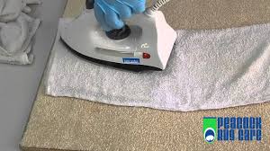 remove coffee stains from carpets