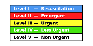 canadian emergency department triage