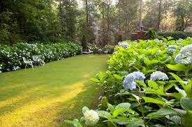 20 dreamy hydrangea gardens that are