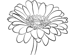 20 hình vẽ hoa hướng dương cực đẹp và dễ cho bé tập tô màu
