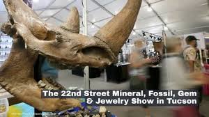 22nd street mineral fossil gem
