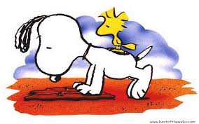 snoopy thanksgiving wallpaper 55 images