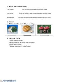 Worksheet answers key fungi coloring worksheet answers key yeah, reviewing a books fungi coloring worksheet answers key could grow your some of the worksheets for this concept are paramecium, kingdom fungi work answers, name hour six kingdoms coloring work, cnidarian. Kingdoms Fungi Kingdom Worksheet