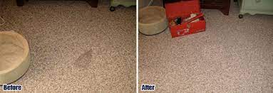 berber carpet repair 213 536 4934