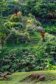 4 amazing kauai botanical gardens you