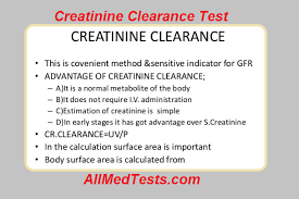 Creatinine Clearance Test Principle