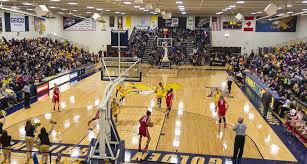 Some examples of sports managers include team coaches, general managers, recruiters, scouts, athletic directors, and sports agents. Sports Management Degree Canisius College Buffalo Ny