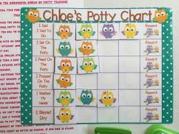 Owl Potty Chart Potty Training Chart Rewards Chart Personalized Star Chart Assembled Laminated Reusable Toilet Training Custom