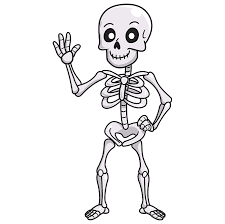 how to draw a cartoon skeleton really