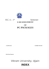 Pc Packages Lecture Notes By Amit Sharma For Bca 1st