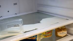 Top Freezer Refrigerator Review