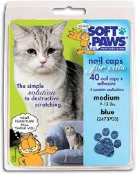 soft paws for cats smartpractice