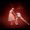 Story image for ballet news articles from Times of Malta