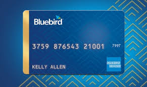 We did not find results for: Bluebird Walmart Com