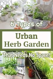 6 types of urban herb gardens that need
