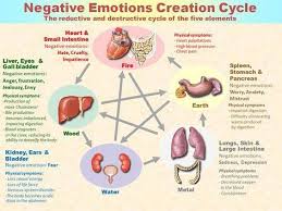 Traditional Chinese Medicine Organs And Emotions
