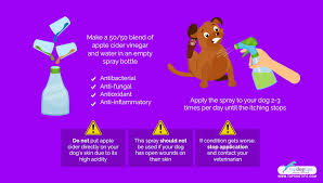 how to make homemade dog itch spray