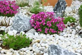 how to build rock gardens everything