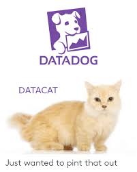 Datadog Datacat Just Wanted To Pint That Out Pint Meme On