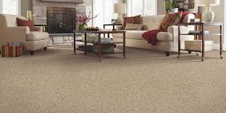 germs in carpet to reduce