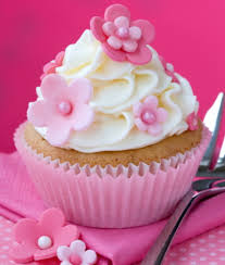 velvety vanilla cupcakes cupcake recipe