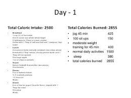 5 Day 2500 Calorie Meal Plan In 2019 2500 Calorie Meal
