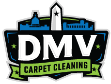 quality carpet cleaning services in