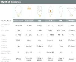 Light Bulb Lumens Comparison Chart Alkalinehealthandbeauty Co
