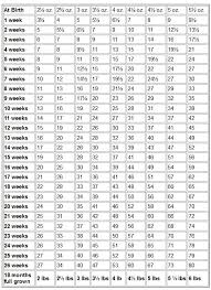Chihuahua Weight Chart And Growth Chart Pet It Chihuahuas