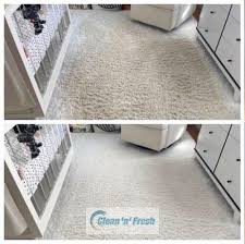 1 carpet cleaning in commack ny 100