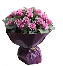 25 purple american roses for valentine