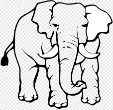 gajah hitam dan putih png pngwing