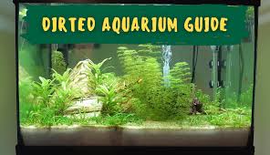 dirted aquarium