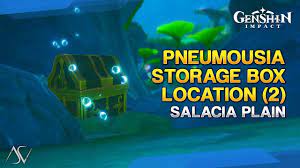 pneumousia storage box location