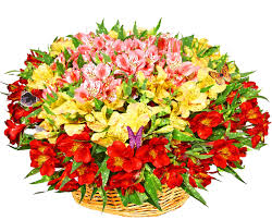 Animated flowers animated image &gifs. Flowers Gifs Beautiful Bouquets Blossoming Buds