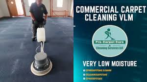 commercial carpet cleaning vlm process