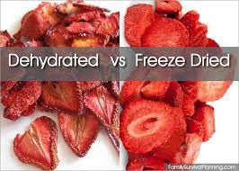 dehydrated vs freeze dried foods