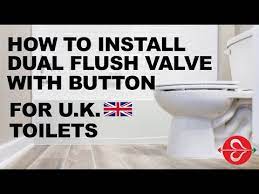 fluidmaster dual flush valve with