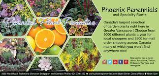 Canada S Plant Paradise Phoenix