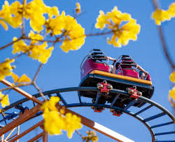 sandserpent roller coaster to close