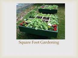 Ppt Square Foot Gardening Powerpoint