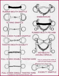 160 Best Equine Tacking Up Images Horse Tack Horse Care