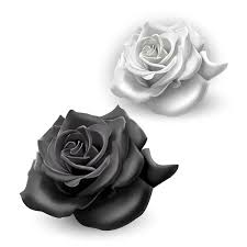 100 000 black rose vector images