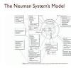 Application of the Neuman Systems