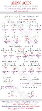 Amino Acid Chart Mcat Cheat Sheet Study Guide