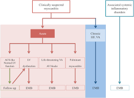 The Spectrum Of Myocarditis From Pathology To The Clinics