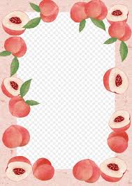 peach borders png transpa images